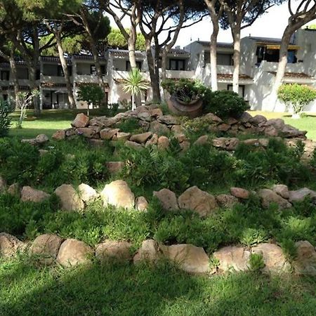 Buganvilia Apartment Praia Da Falesia Albufeira Ngoại thất bức ảnh
