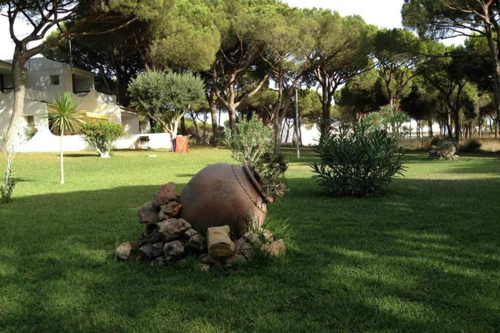 Buganvilia Apartment Praia Da Falesia Albufeira Ngoại thất bức ảnh